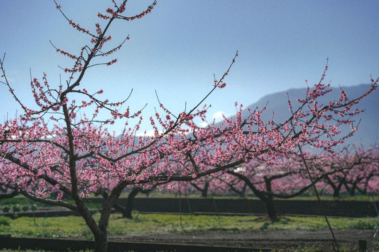 Kominkayado Loof Sakanoie ฟุเอะฟุกิ ภายนอก รูปภาพ